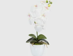 Kunstblume Orchidee