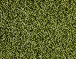 Kunstrasen Venus Grün