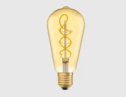 Leuchtmittel Vintage Edison