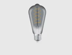Leuchtmittel Vintage Edison