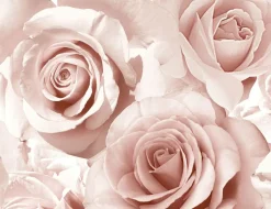Papiertapeten Rosen
