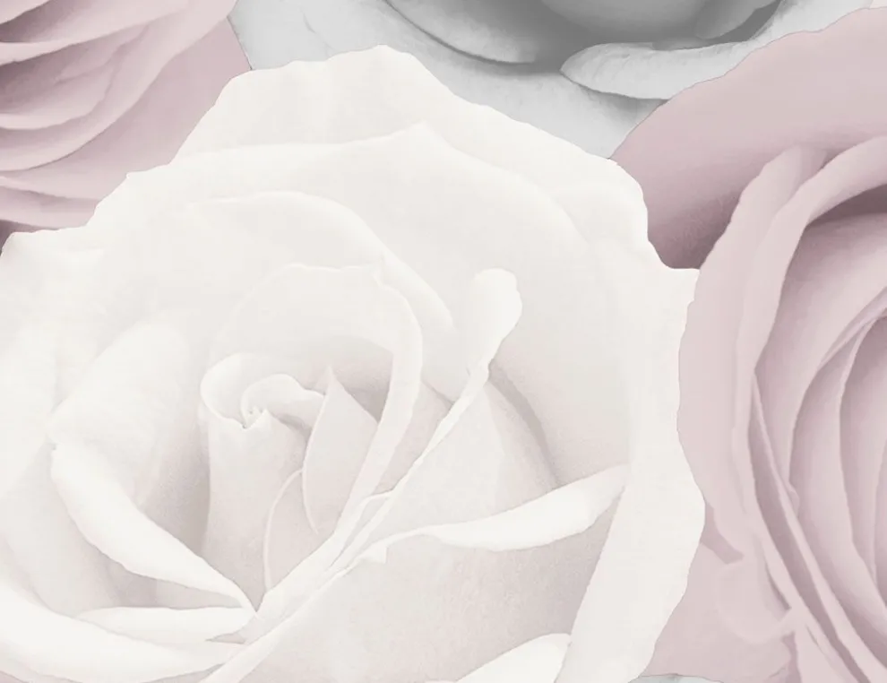 Papiertapete Rosen Grau, Rosa