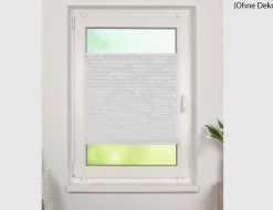 Plisseeanlage Blatt