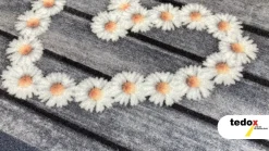Schmutzfangmatte Home Gänseblümchen