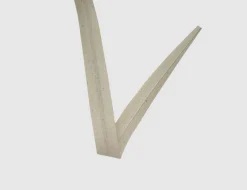 Schrägband Natur