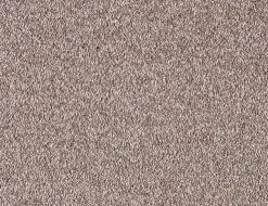 Teppichboden Torquay Beige