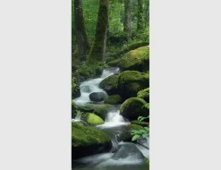 Türdecor WALD