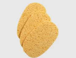Tuchschwamm