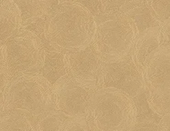 Vliestapete Kreise Gold