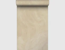 Vliestapete Putzstruktur Beige