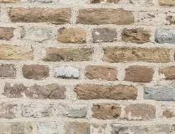 Vliestapete Stein Hellbraun