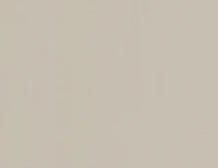 Vliestapete Uni Beige