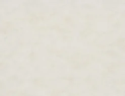 Vliestapete Uni Beige