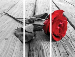 Wand Deko Rote Rose