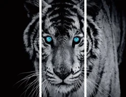 Wand Deko Tiger